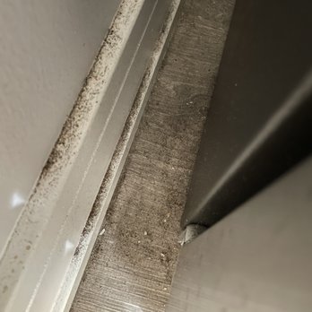 Sparkly Maid Chicago - Kitchen floor beside fridge - Home Cleaning Near Me Sparkly Maid Chicago - Kitchen floor beside fridge - Home Cleaning Near Me