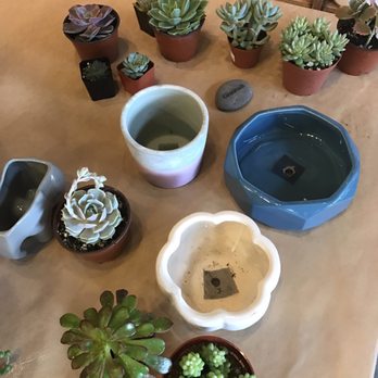 Potted - Started from here... - Home Decor Near Me - Los Angeles, California