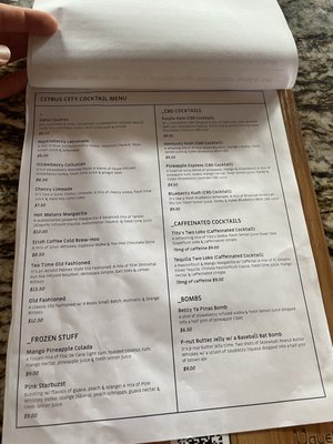 Citrus City Craft by null