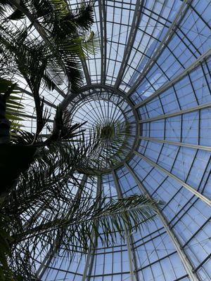 Anna Scripps Whitcomb Conservatory by null