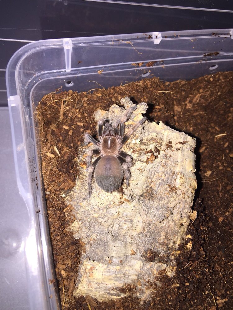 WET PET & REPTILE CENTER Updated May 2024 17 Reviews 429 Eastern