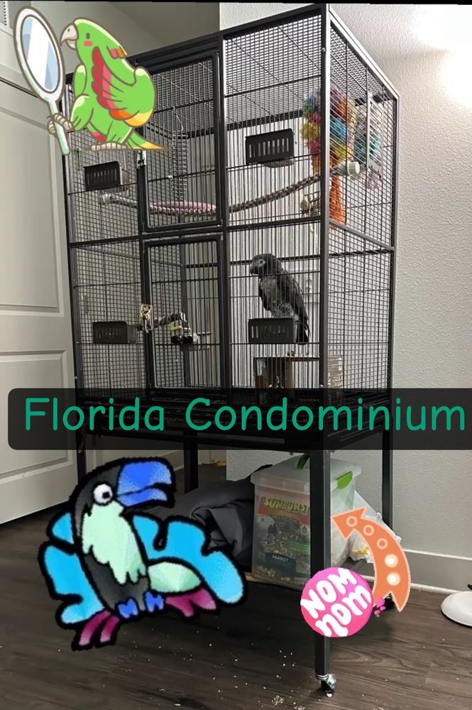 Pet Supermarket Image