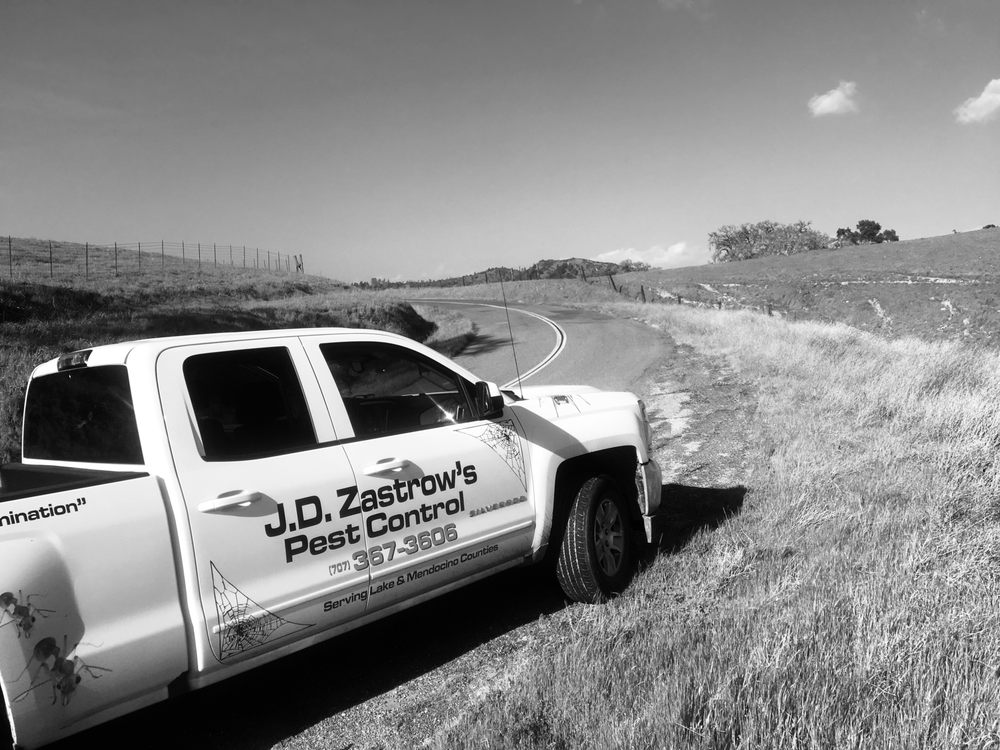 JD ZASTROW’S PEST CONTROL Updated September 2024 4404 Emilee Ct