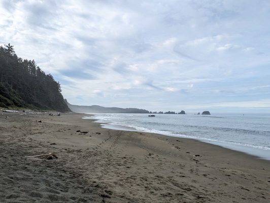 Shi Shi Beach by null
