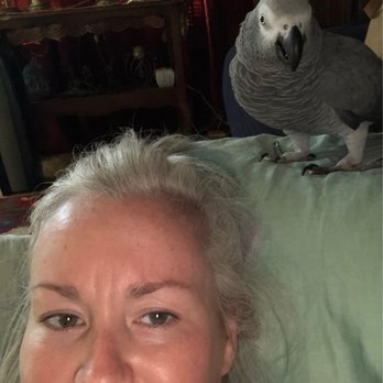 All Pets Veterinary Hospital - Me and my birdie - Veterinarians Near Me - Peoria, Illinois All Pets Veterinary Hospital - Me and my birdie - Veterinarians Near Me - Peoria, Illinois