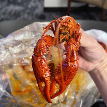 Yummy Crab - Spokane - Crawfish Boil - Seafood Near Me - Spokane, Washington