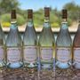 Photo of Acquiesce Winery