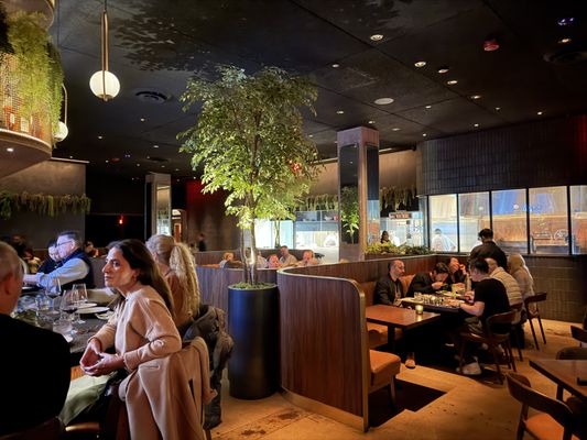 Matu Kai by null Matu Kai by null