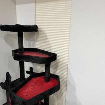 IL Progetto - Honeycomb shade to foil feline espionage - Shades & Blinds Near Me - San Diego, California IL Progetto - Honeycomb shade to foil feline espionage - Shades & Blinds Near Me - San Diego, California