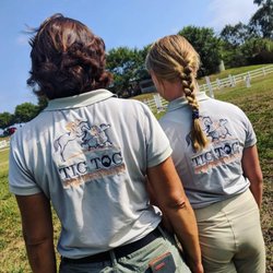 Tic Toc Equestrian