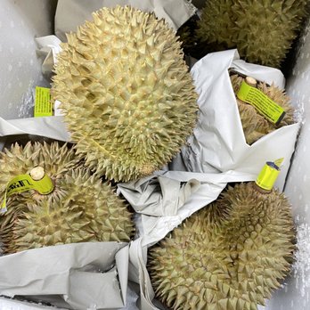 Asian Market - a variety of durian fruits - International Grocery Near Me - Charlotte, North Carolina Asian Market - a variety of durian fruits - International Grocery Near Me - Charlotte, North Carolina