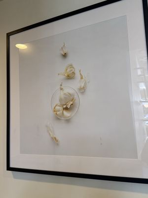 Honest Mary's by null