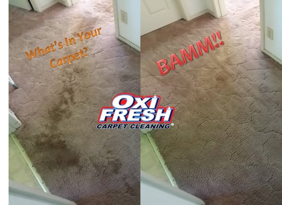 Residential Carpet Cleaning - Some previous examples Residential Carpet Cleaning - Some previous examples