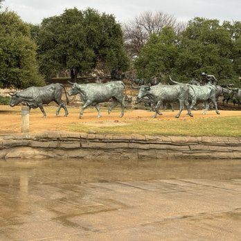 Pioneer Plaza Cattle Drive - Pioneer square 1/9/26 - Local Flavor Near Me - Dallas, Texas Pioneer Plaza Cattle Drive - Pioneer square 1/9/26 - Local Flavor Near Me - Dallas, Texas