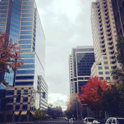 Bizfox Apostille & Notary - Autumn in CA