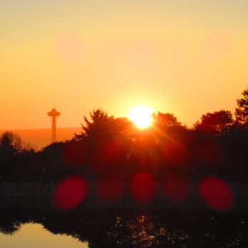 Volunteer Park - Parks Near Me - Seattle, Washington Volunteer Park - Parks Near Me - Seattle, Washington
