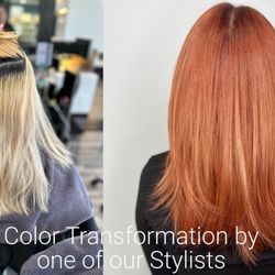 Fuse Hair Studios - Cumming - All Over Color