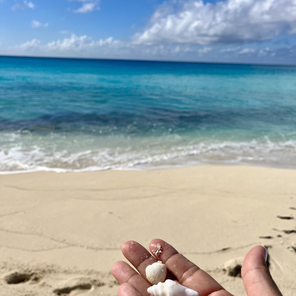Wander Joy Vacations - Bimini Island, Bahamas - Travel Agents Near Me - Anaheim, California Wander Joy Vacations - Bimini Island, Bahamas - Travel Agents Near Me - Anaheim, California