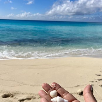 Wander Joy Vacations - Bimini Island, Bahamas - Travel Agents Near Me - Anaheim, California