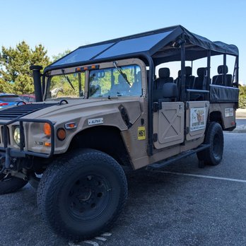 Corolla Wild Horse Tours - Tours Near Me - Corolla, North Carolina
