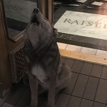 Raised By Wolves - Cocktail Bars Near Me - San Diego, California