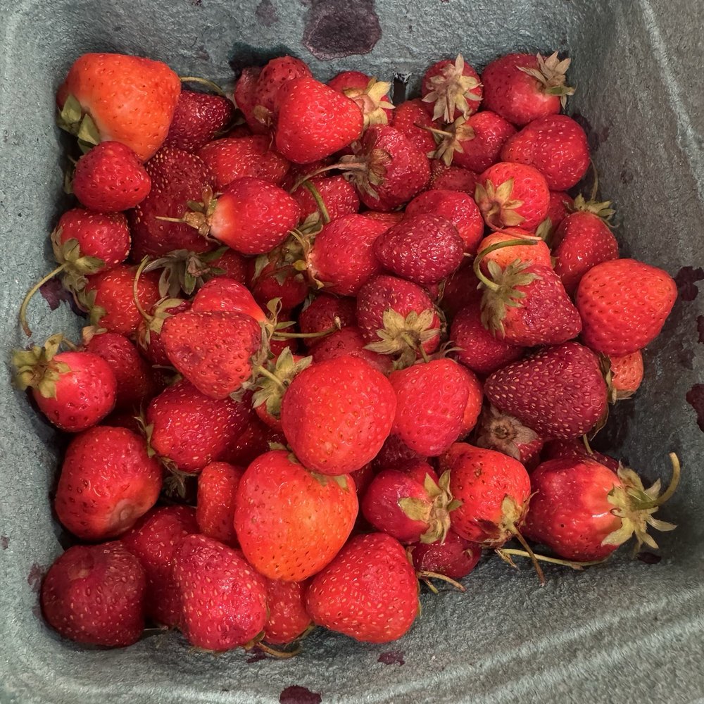 Emma Lea Farms - Fruits & Veggies Near Me - Delta, British Columbia