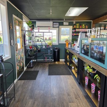 Bloom Coffee House - Coffee & Tea Near Me - Kewaunee, Wisconsin Bloom Coffee House - Coffee & Tea Near Me - Kewaunee, Wisconsin