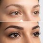 JJ Lash & Brow