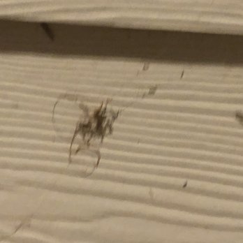 Enviroguard Pest Control - Pest Control Near Me - Round Rock, Texas
