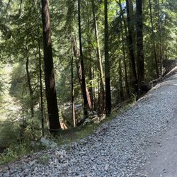 Walk to the river