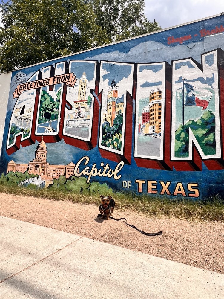 Greetings From Austin Postcard Mural