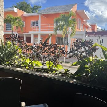 Girasoles - View from patio - Mexican Near Me - Cozumel, ROO Girasoles - View from patio - Mexican Near Me - Cozumel, ROO