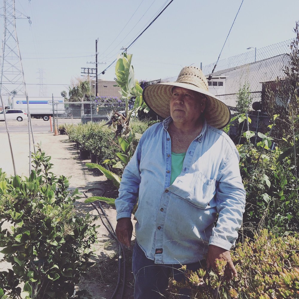Nursery Nurseries Gardening 620 W Rosecrans Ave 620 W Rosecrans Ave