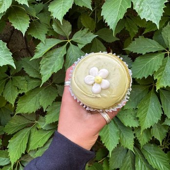 Branch Cafe & Market - Vegan Matcha Cupcake - Bakeries Near Me - Carbondale, Illinois Branch Cafe & Market - Vegan Matcha Cupcake - Bakeries Near Me - Carbondale, Illinois