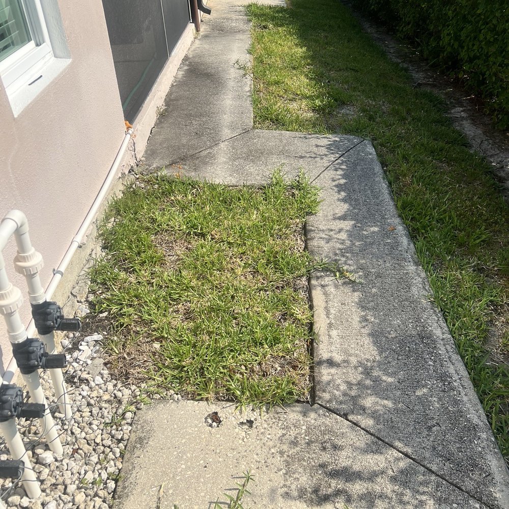 Extreme Exterior Cleaning - Walkway before - Pressure Washers Near Me