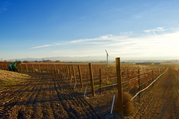 Hat Ranch Winery by null
