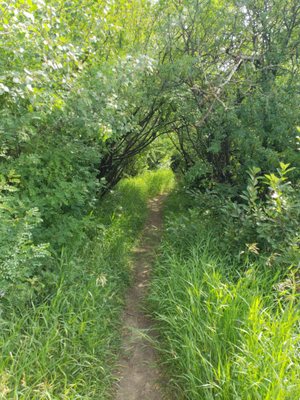 Government House by null