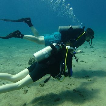 Banyan Tree Divers Maui - Scuba Diving Near Me - Lahaina, Hawaii