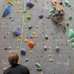 Vertical World North - Take a class to learn how belay then pass the test! Or if you have experience... take the test anyways!