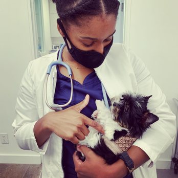 Brilliant Veterinary Care - Dr. Duperval and Puccini! - Veterinarians Near Me - New York, New York