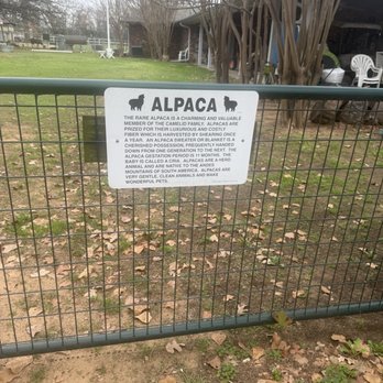 Nana's pacas - Attraction Farms Near Me - Flower Mound, Texas