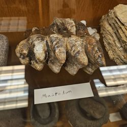 Mount Angel Abbey - Mt Angel Abbey Museum