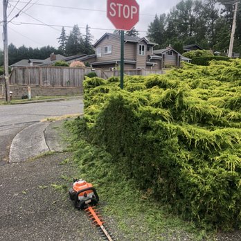Servando's Landscaping Services - Landscaping Contractor - Landscaping Near Me