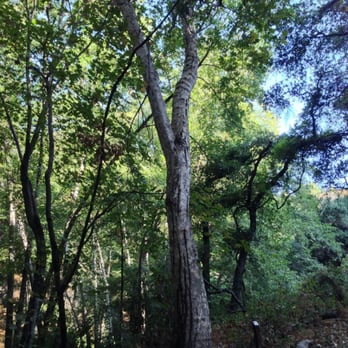 Monrovia Canyon Park - Hiking Near Me - Monrovia, California Monrovia Canyon Park - Hiking Near Me - Monrovia, California