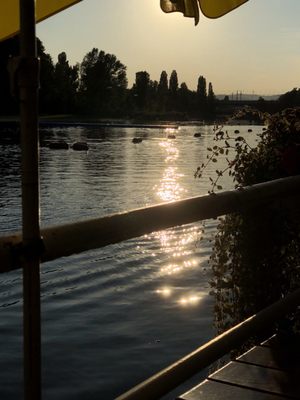 Alte Donau by null