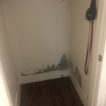 AMLI on Riverside - Mold outbreak due to poorly repaired hot water heater for which we never received test results despite multiple requests. - Apartments Near Me - Irving, Texas