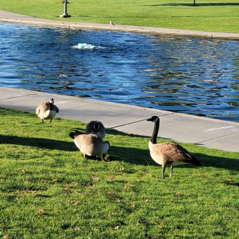 Don Knabe Community Regional Park - Parks Near Me - Cerritos, California Don Knabe Community Regional Park - Parks Near Me - Cerritos, California