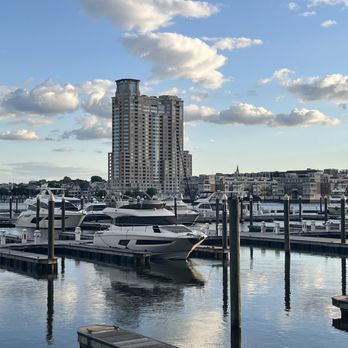 Cinghiale - Italian Near Me - Baltimore, Maryland