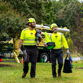 Bartlett Tree Experts - Tree Services Near Me - Nashville, Tennessee Bartlett Tree Experts - Tree Services Near Me - Nashville, Tennessee