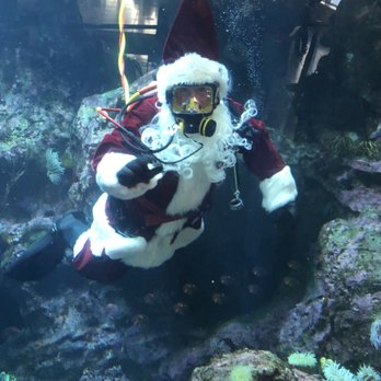 Seattle Aquarium - Santa sighting today! - Aquariums Near Me - Seattle, Washington Seattle Aquarium - Santa sighting today! - Aquariums Near Me - Seattle, Washington